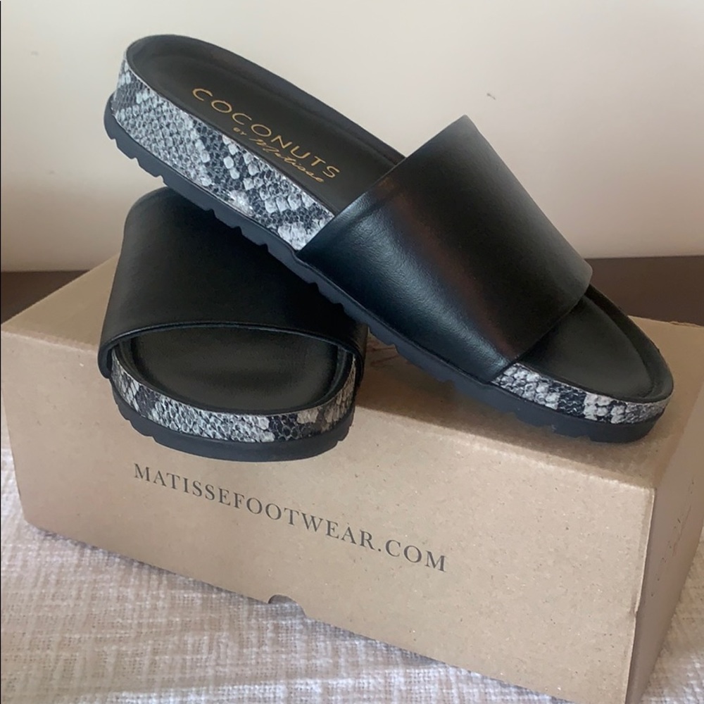 Coconut by Matisse Black & Snake Skin Slides